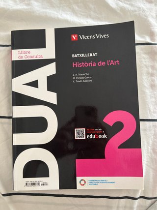 Història de l'Art, Batxillerat 2 text/activitats