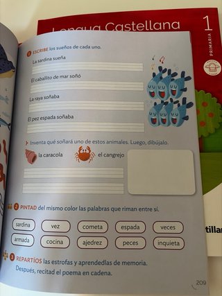 Lengua castellana, 1 Primaria un paso más : pauta