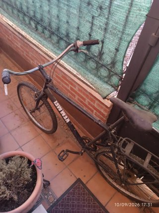 Bicicleta de montaña