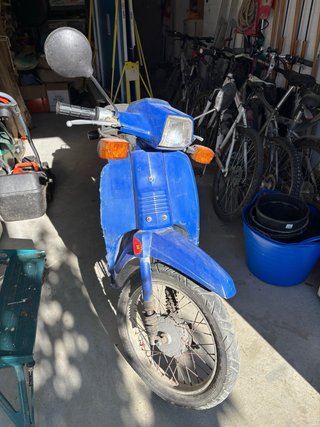 Honda Scoopy SH75 Azul