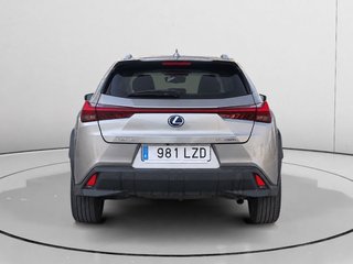 Lexus UX 250h Business 2WD 135 kW (184 CV)