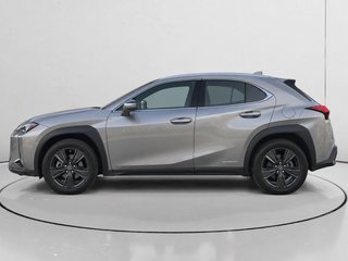 Lexus UX 250h Business 2WD 135 kW (184 CV)