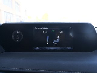 Lexus UX 250h Business 2WD 135 kW (184 CV)