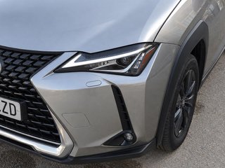 Lexus UX 250h Business 2WD 135 kW (184 CV)