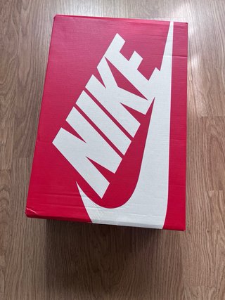 Nike Dunk Low Retro Marrón/Rojo