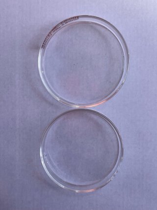 Pack 10 Placas Petri Vidrio Stonylab 75 mm