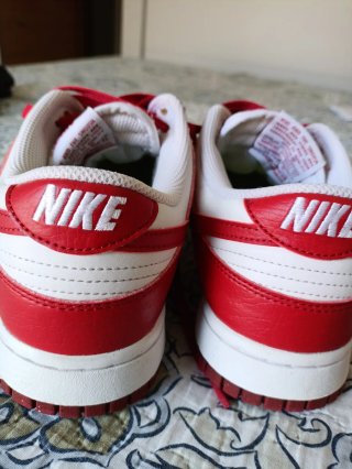 Zapatillas Nike Dunk Rojas y Blancas