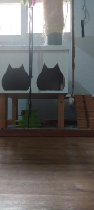 Casa Rascador para Gatos