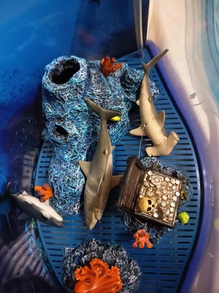 Pecera / Acuario temática tiburones