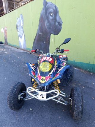 Quad Gas Gas wild 300