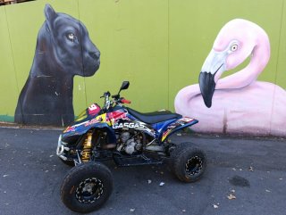 Quad Gas Gas wild 300