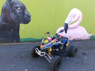 Quad Gas Gas wild 300