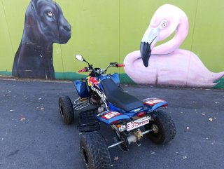 Quad Gas Gas wild 300