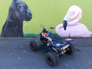 Quad Gas Gas wild 300
