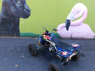 Quad Gas Gas wild 300
