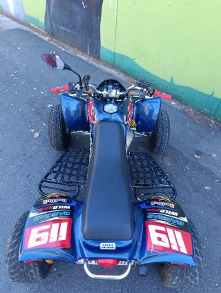 Quad Gas Gas wild 300