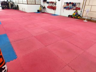 Tatami puzzle