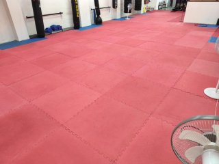 Tatami puzzle
