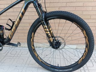 Bicicleta doble Giant Anthem Advanced Pro 2