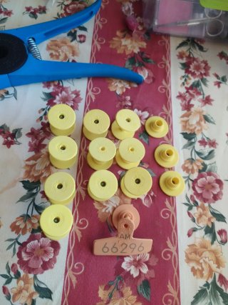 Tenazas Crotales + Crotales Numerados