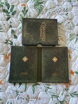 DVD El Señor de los Anillos: La Comunidad