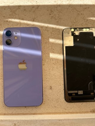 iPhone 12 mini Desmontado