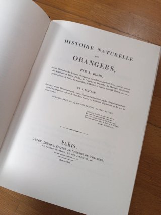 Histoire naturelle des orangers 1818-1822