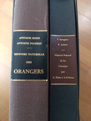 Histoire naturelle des orangers 1818-1822