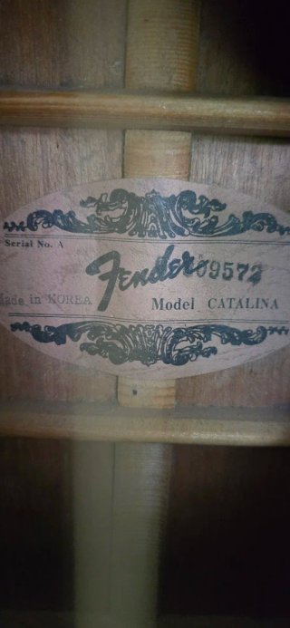Guitarra Acústica Fender The Feeling