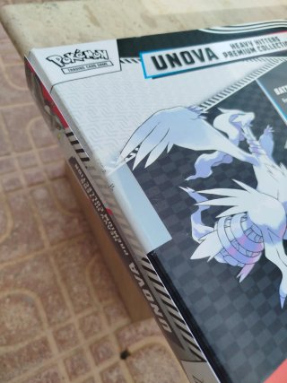 Colección Pokémon Unova Black & White