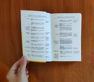 Il piccolo dizionario di tedesco
