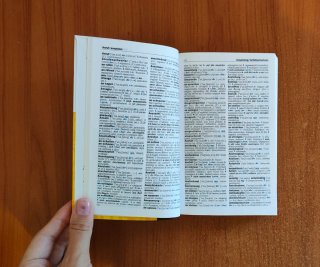 Il piccolo dizionario di tedesco