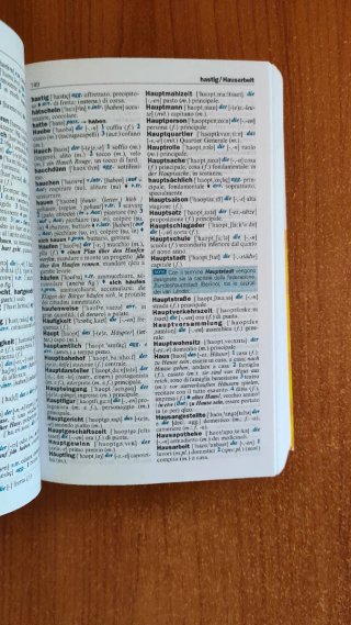 Il piccolo dizionario di tedesco