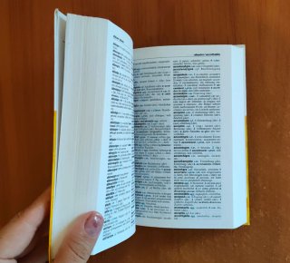 Il piccolo dizionario di tedesco