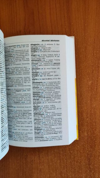Il piccolo dizionario di tedesco
