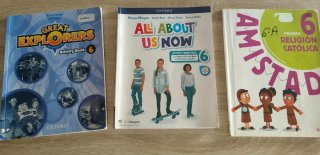 Libros de 6 de primaria