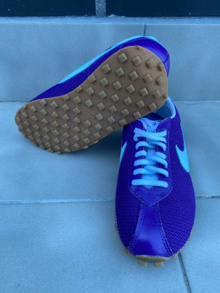 Zapatillas Nike Moradas y Azules