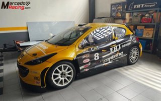 Peugeot 207 Tipo S2000 CAMPEON NACIONAL