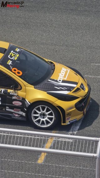 Peugeot 207 Tipo S2000 CAMPEON NACIONAL