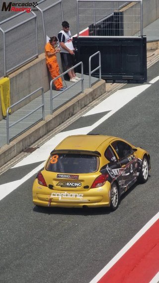 Peugeot 207 Tipo S2000 CAMPEON NACIONAL