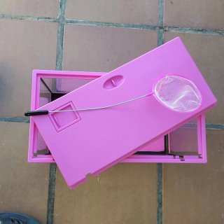 Pecera rosa con accesorios