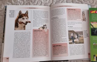 Siberian Husky - 2 libros en español