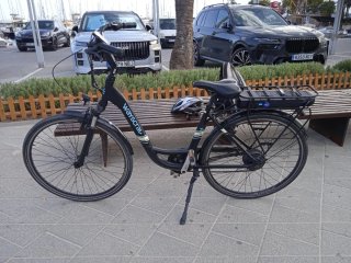 Bicicleta Eléctrica Wayscral