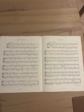Tecnica Fondamentale del vìolino. Alberto Curci
