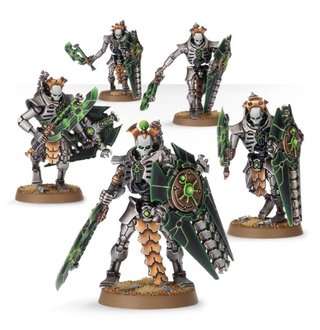 5 Necroguardias Necrones montados