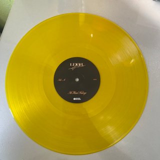 Leigh-Anne vinilo firmado No Hard Feelings