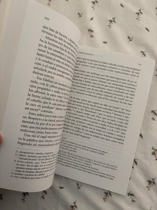 25. Leyendas y rimas de Becquer