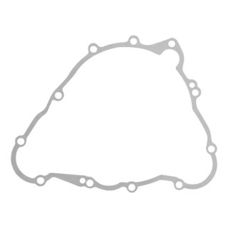 Cubre Cárter Alternador TRIUMPH DAYTONA 675 2006