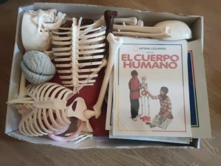 Colección El Cuerpo Humano RBA