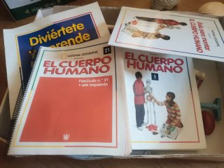 Colección El Cuerpo Humano RBA